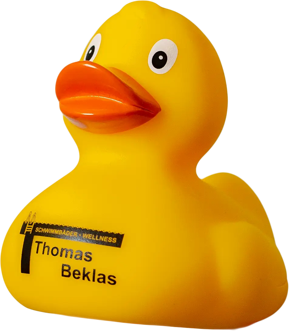 thomas-beklas-duck